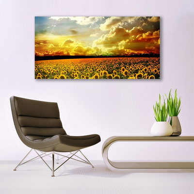 Quadro su vetro Paesaggio del campo di girasoli