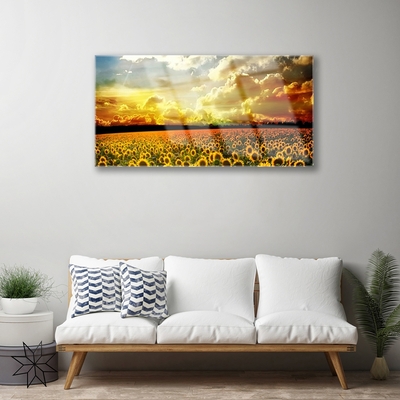 Quadro su vetro Paesaggio del campo di girasoli