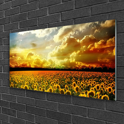 Quadro su vetro Paesaggio del campo di girasoli