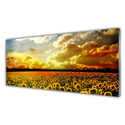 Quadro su vetro Paesaggio del campo di girasoli