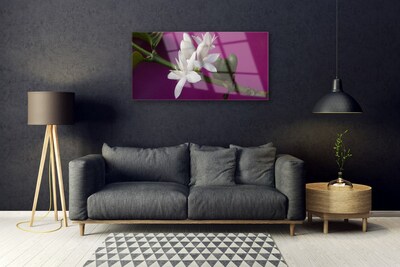 Quadro in vetro Fiori Steli Natura Pianta