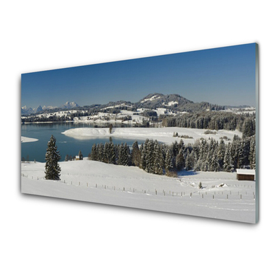 Quadro di vetro Lago Neve Terra Montagna