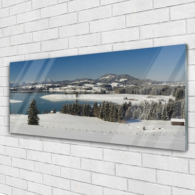 Quadro di vetro Lago Neve Terra Montagna