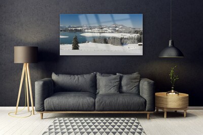 Quadro di vetro Lago Neve Terra Montagna