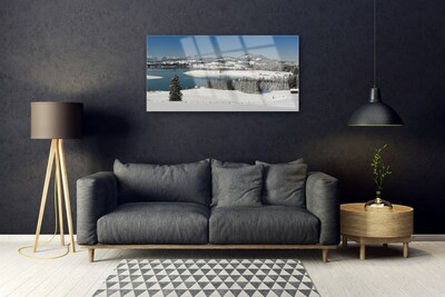 Quadro di vetro Lago Neve Terra Montagna