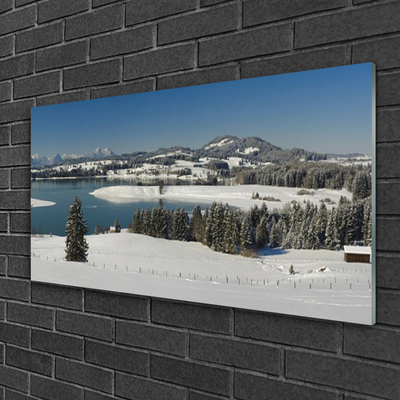 Quadro di vetro Lago Neve Terra Montagna