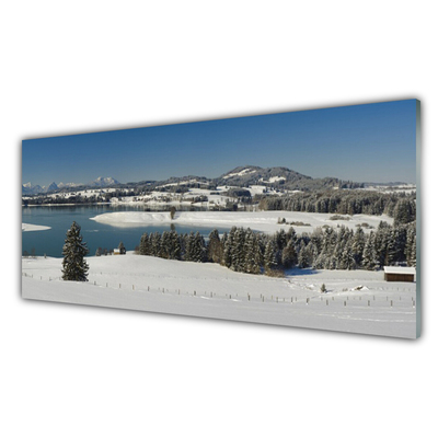 Quadro di vetro Lago Neve Terra Montagna