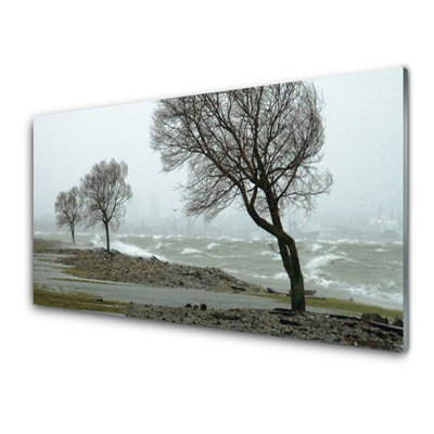 Quadro in vetro Onde del mare in tempesta