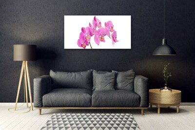Quadro su vetro Orchidea Fiori della natura