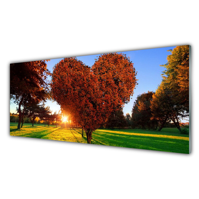 Quadro in vetro Albero del cuore Natura