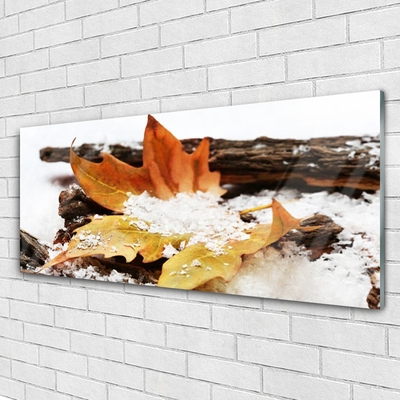 Quadro di vetro Foresta di foglie Autunno Natura