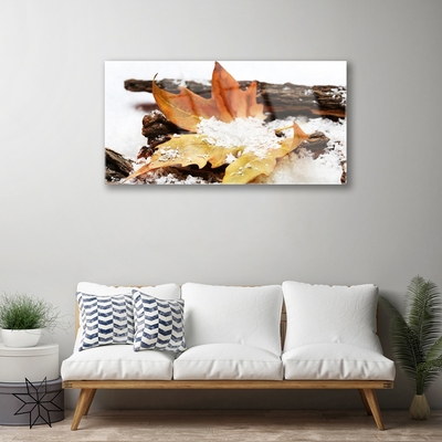 Quadro di vetro Foresta di foglie Autunno Natura