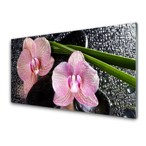 Quadro in vetro Fiori Orchidea Orchidea Zen