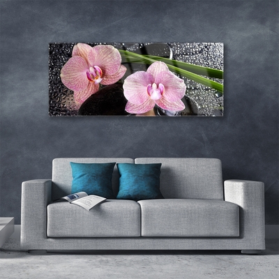 Quadro in vetro Fiori Orchidea Orchidea Zen