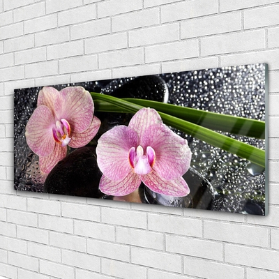 Quadro in vetro Fiori Orchidea Orchidea Zen