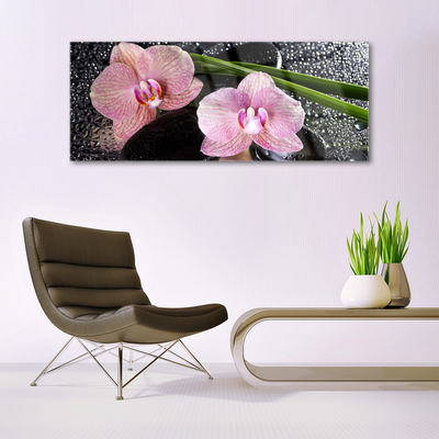 Quadro in vetro Fiori Orchidea Orchidea Zen