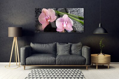 Quadro in vetro Fiori Orchidea Orchidea Zen