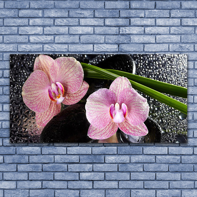 Quadro in vetro Fiori Orchidea Orchidea Zen