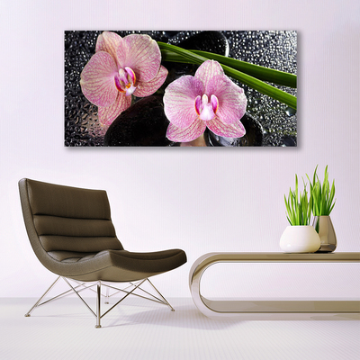 Quadro in vetro Fiori Orchidea Orchidea Zen