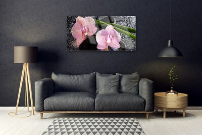 Quadro in vetro Fiori Orchidea Orchidea Zen