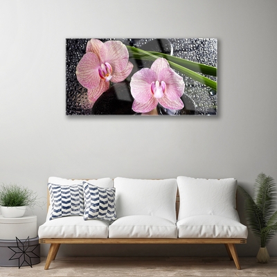 Quadro in vetro Fiori Orchidea Orchidea Zen