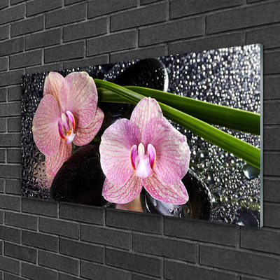 Quadro in vetro Fiori Orchidea Orchidea Zen