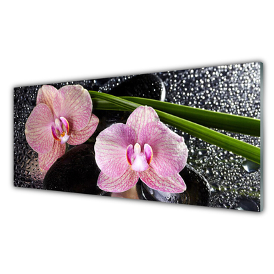 Quadro in vetro Fiori Orchidea Orchidea Zen