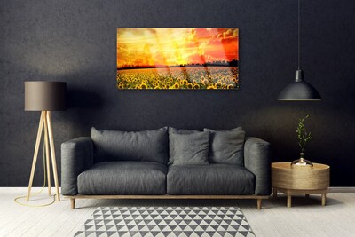 Quadro vetro Girasoli dei prati