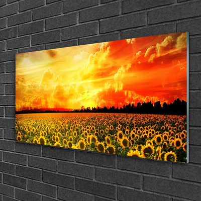 Quadro vetro Girasoli dei prati