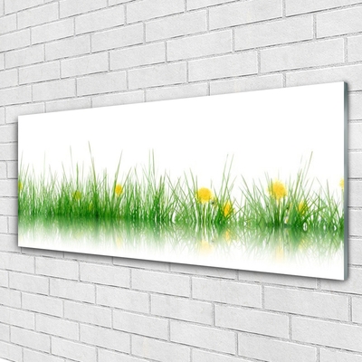 Quadro su vetro Natura Erba Fiori