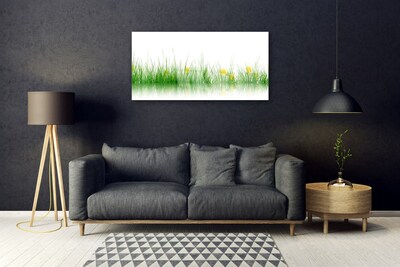 Quadro su vetro Natura Erba Fiori