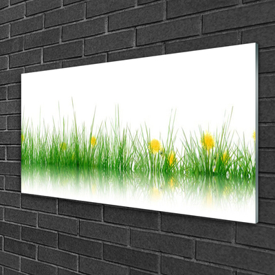 Quadro su vetro Natura Erba Fiori