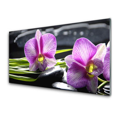 Quadro vetro Orchid Stones Zen Spa