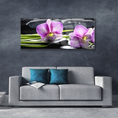 Quadro vetro Orchid Stones Zen Spa