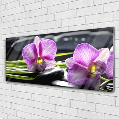 Quadro vetro Orchid Stones Zen Spa