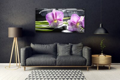 Quadro vetro Orchid Stones Zen Spa