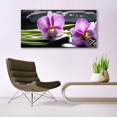 Quadro vetro Orchid Stones Zen Spa