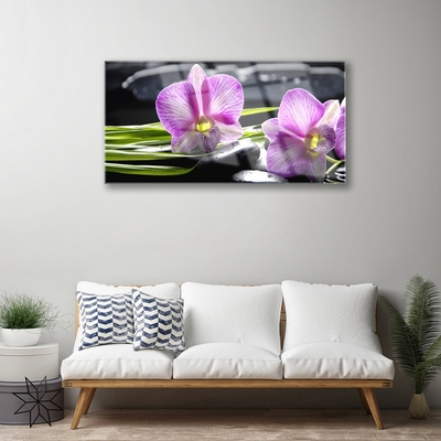 Quadro vetro Orchid Stones Zen Spa