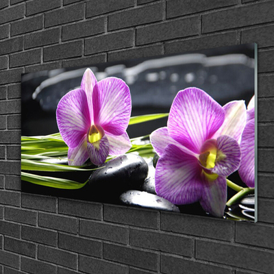 Quadro vetro Orchid Stones Zen Spa