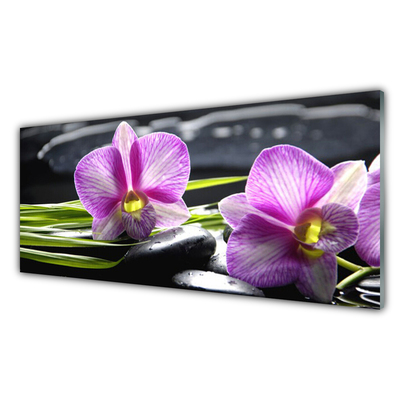 Quadro vetro Orchid Stones Zen Spa