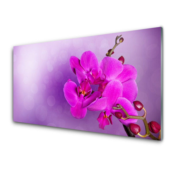 Quadro su vetro Fiori Petali Orchidea