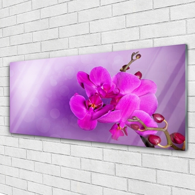 Quadro su vetro Fiori Petali Orchidea