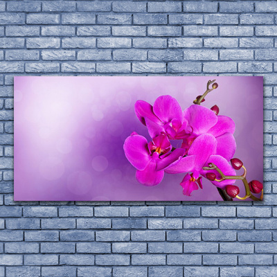 Quadro su vetro Fiori Petali Orchidea