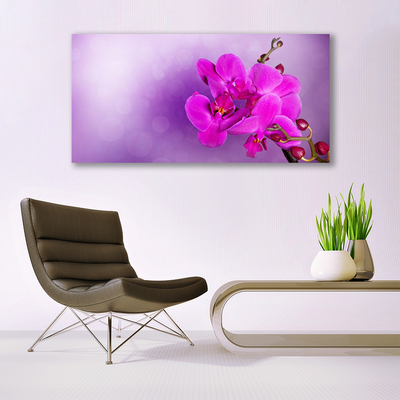 Quadro su vetro Fiori Petali Orchidea