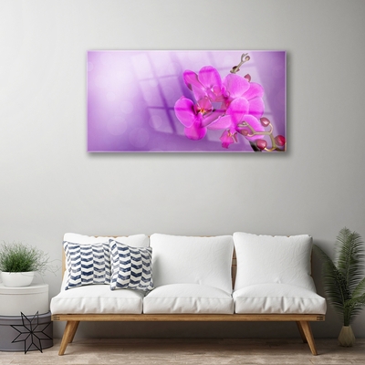 Quadro su vetro Fiori Petali Orchidea