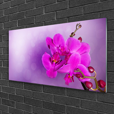 Quadro su vetro Fiori Petali Orchidea