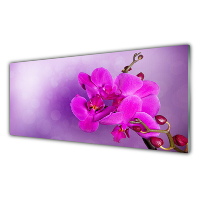 Quadro su vetro Fiori Petali Orchidea