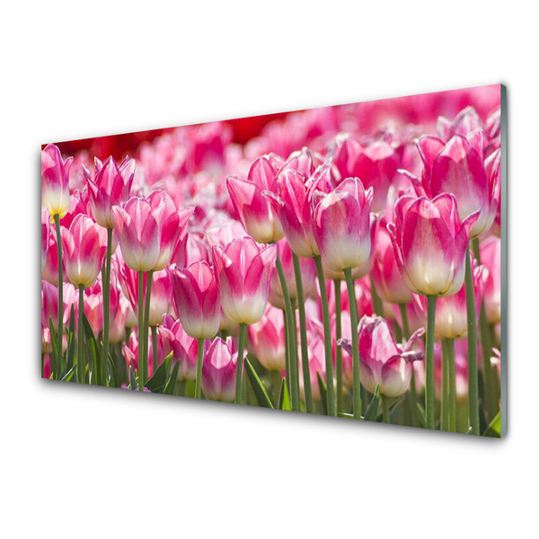 Quadro in vetro Tulipani Fiori della natura