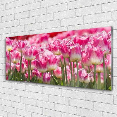 Quadro in vetro Tulipani Fiori della natura