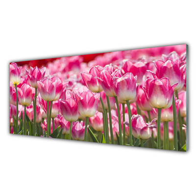 Quadro in vetro Tulipani Fiori della natura